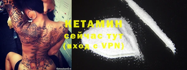 шишки Бородино