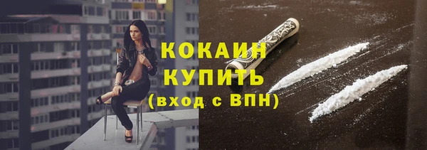 шишки Бородино