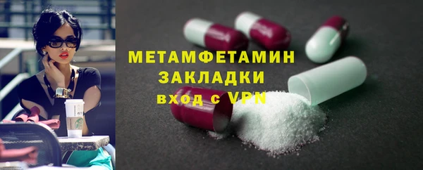 шишки Бородино