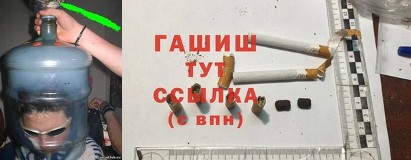 шишки Бородино