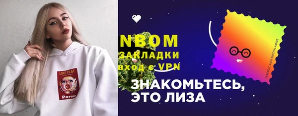 шишки Бородино
