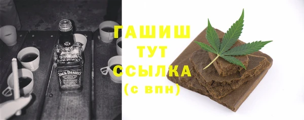 шишки Бородино