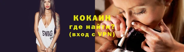 шишки Бородино