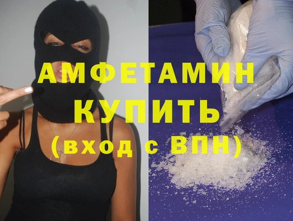 шишки Бородино