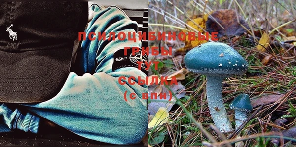 шишки Бородино