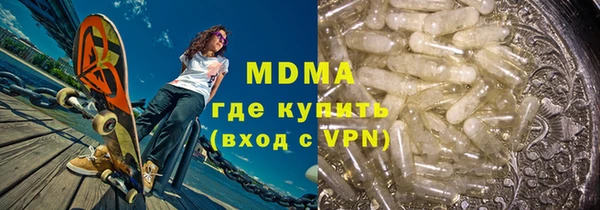 шишки Бородино