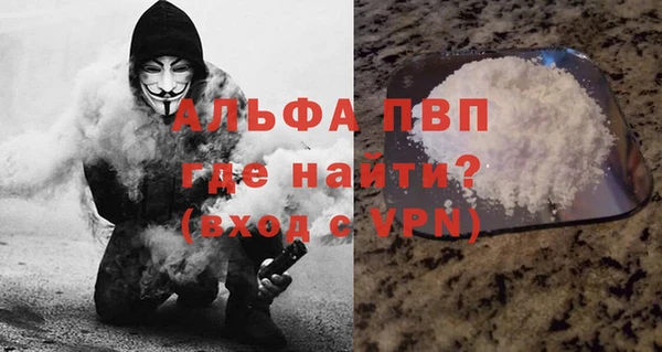 шишки Бородино