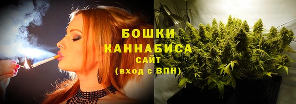 шишки Бородино