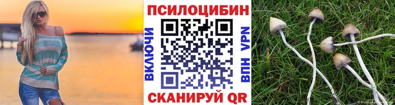 Псилоцибиновые грибы Magic Shrooms Брянск